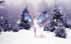 Dance_of_the_Sugar_Plum_Fairy